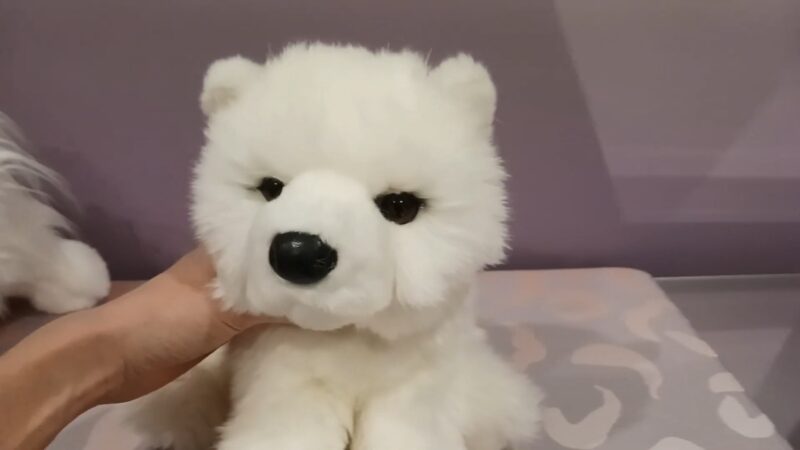 Samoyed Plush Puppy